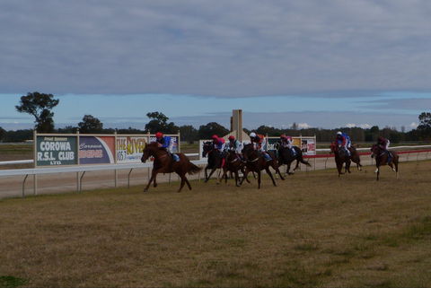 Corowa Horseraces - Kalgoorlie Accommodation 0