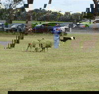 Dean Sheepdog Trials - Old Sniff Classic