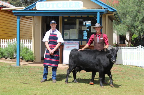 Festival Of The Big Cow - Kalgoorlie Accommodation 2