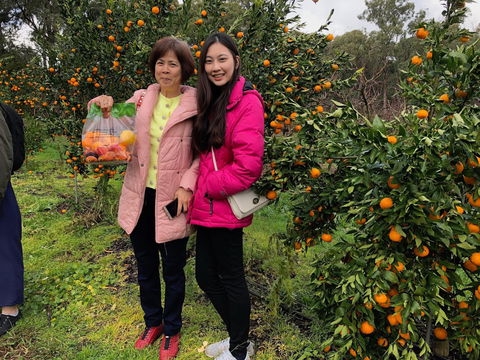 Fruit Taste Adventure Tours - Kalgoorlie Accommodation 0