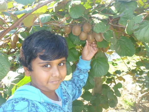 Fruit Taste Adventure Tours - Kalgoorlie Accommodation 1