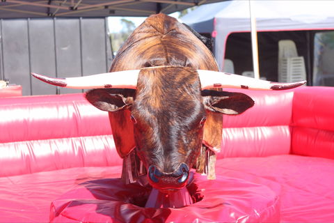 Gundaroo Music Festival - Kalgoorlie Accommodation 2