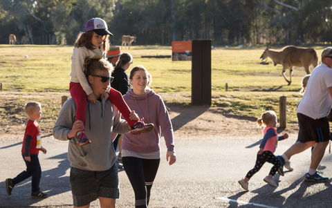 MAAS Group Dubbo Stampede Running Festival - Kalgoorlie Accommodation 1