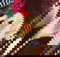 Murrindindi Beanie  Fibre Festival Online - Kalgoorlie Accommodation