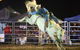 Patches Asphalt Queanbeyan Rodeo - thumb 2