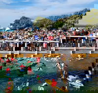 The Crescent Head Santa Surf - Kalgoorlie Accommodation