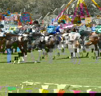 Wangaratta Show - Kalgoorlie Accommodation