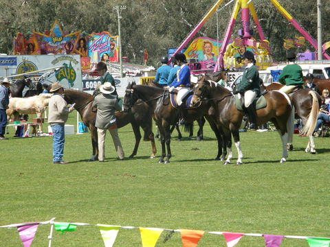 Wangaratta Show - Kalgoorlie Accommodation 0