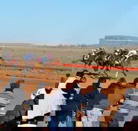 2020 Quorn Cup - Kalgoorlie Accommodation