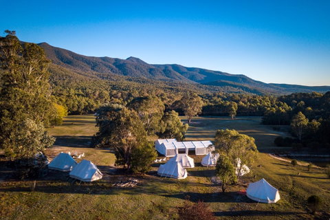 A Wild Night Out - Spring - Kalgoorlie Accommodation 5
