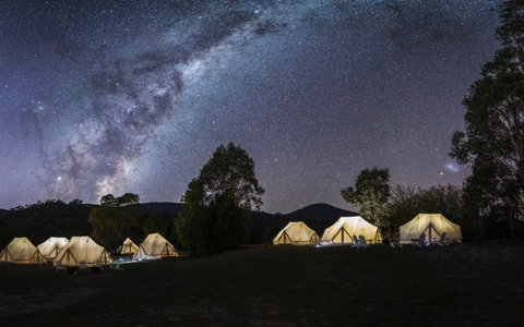A Wild Night Out - Spring - Kalgoorlie Accommodation 6