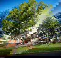 Big Bat Wildlife and Eco Festival - Kalgoorlie Accommodation