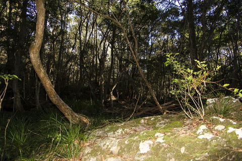 Bottlebutt Bash Trail Run - Kalgoorlie Accommodation 1