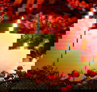 Carols by Candlelight Boorowa