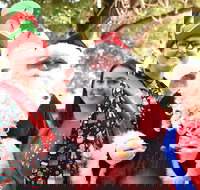 Christmas on the Plains - Quirindi - Kalgoorlie Accommodation