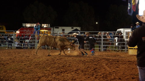 Cunnamulla Fella Festival 2020 - Kalgoorlie Accommodation 2