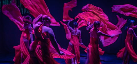 Darwin Fringe Festival - Kalgoorlie Accommodation 1