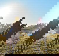 Gunnedah Showjumping Festival - Kalgoorlie Accommodation