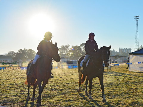 Gunnedah Showjumping Festival - Kalgoorlie Accommodation 0