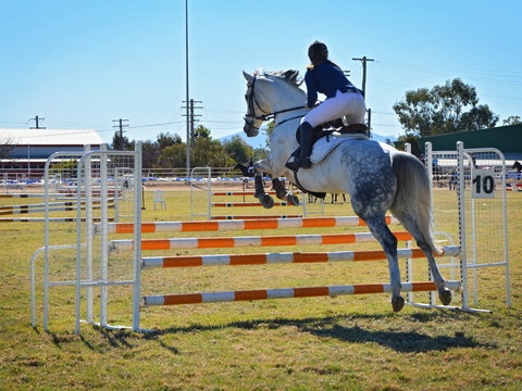 Gunnedah Showjumping Festival - Kalgoorlie Accommodation 1