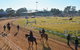Gunnedah Showjumping Festival - thumb 2