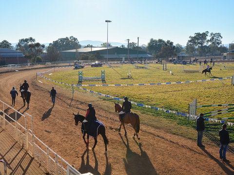 Gunnedah Showjumping Festival - Kalgoorlie Accommodation 2