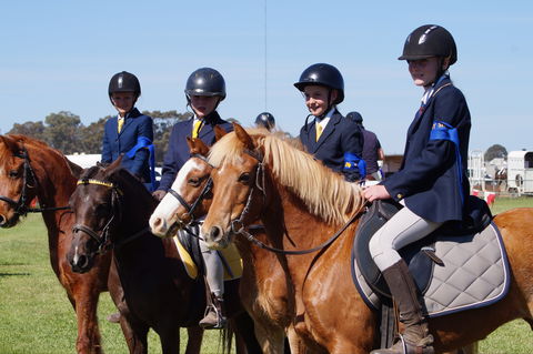 Hay Agricultural Show - Kalgoorlie Accommodation 0