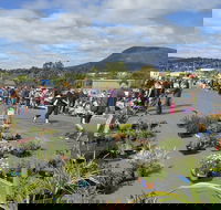 Hobart Showground Sunday Market - Weekly - Kalgoorlie Accommodation