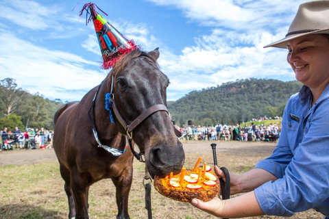 Horses Birthday Festival - Kalgoorlie Accommodation 0