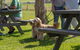 Live Music Sundays At Mountain Ridge Wines - thumb 1