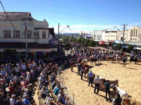 NCMC Casino Beef Week - Kalgoorlie Accommodation 0
