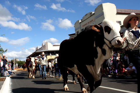 NCMC Casino Beef Week - Kalgoorlie Accommodation 1