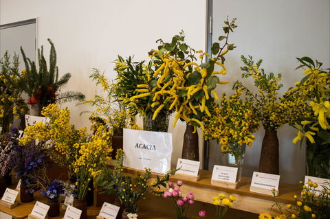 Pomonal Native Flower Show - Kalgoorlie Accommodation 0