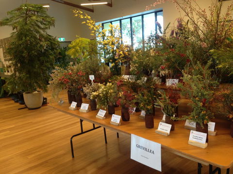 Pomonal Native Flower Show - Kalgoorlie Accommodation 2