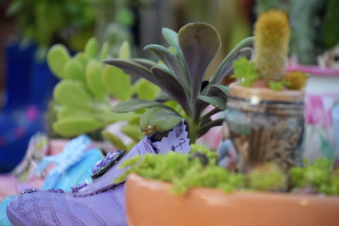 QCWA Sunday Markets Charters Towers - Kalgoorlie Accommodation 2