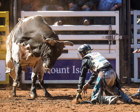The 2020 Virtual Mount Isa Mines Rodeo - Kalgoorlie Accommodation 2
