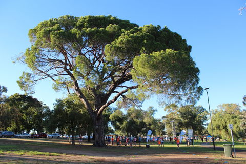 Wagga Parkrun - Kalgoorlie Accommodation 1