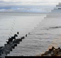 Whale Watching in Portland - Kalgoorlie Accommodation