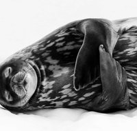 Wildlife Photographer of the Year - Kalgoorlie Accommodation