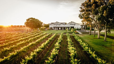 Aged Wine And Vintage Pies - Kalgoorlie Accommodation 2