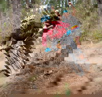 Fox Superflow sealed by Stan's Race  Greenvalleys - Kalgoorlie Accommodation