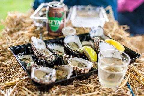 Narooma Oyster Festival - Kalgoorlie Accommodation 1