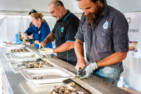 Narooma Oyster Festival - Kalgoorlie Accommodation 2