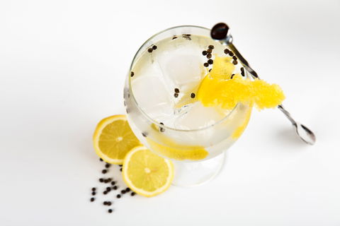Online Live Streaming Class: Make Four Gin Cocktails - Kalgoorlie Accommodation 0