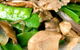 Ying Wah Chinese Restaurant - thumb 0