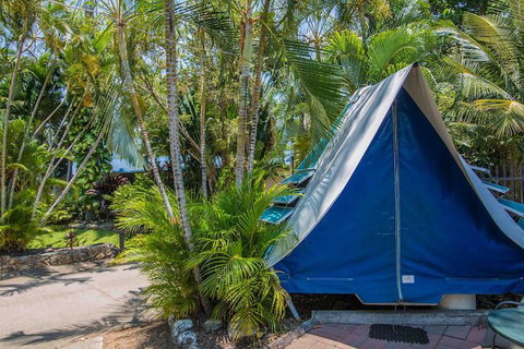 Tasman Holiday Parks - Airlie Beach - Kalgoorlie Accommodation 5