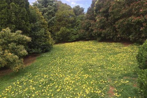 Warragul Views Motor Inn - Kalgoorlie Accommodation 2