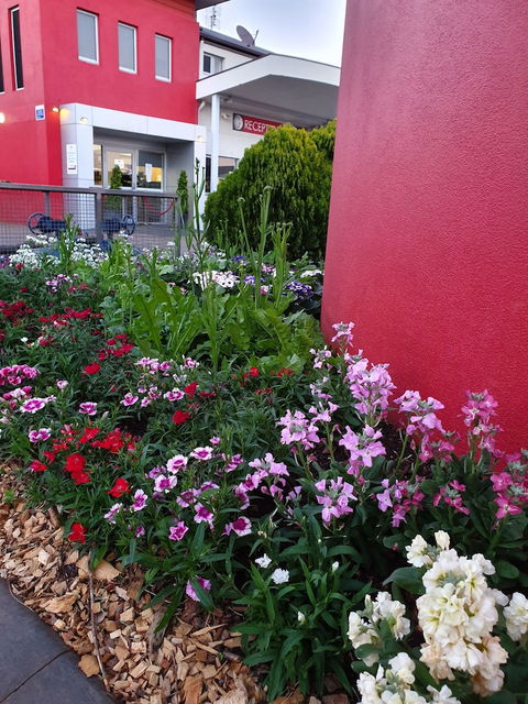 City Golf Club Motel - Kalgoorlie Accommodation 2