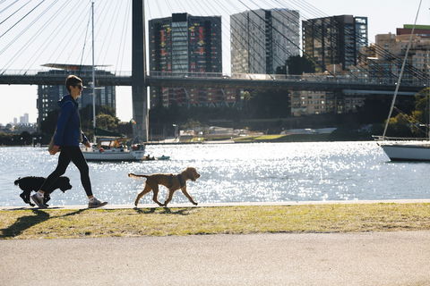 Haven Glebe - Kalgoorlie Accommodation 0