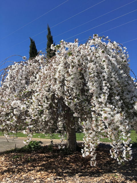 Quality Inn Carriage House - Kalgoorlie Accommodation 3
